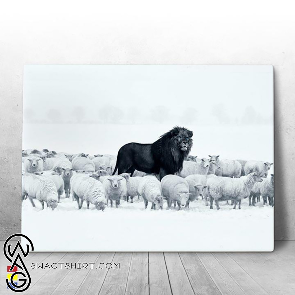 Black lion among sheeps poster