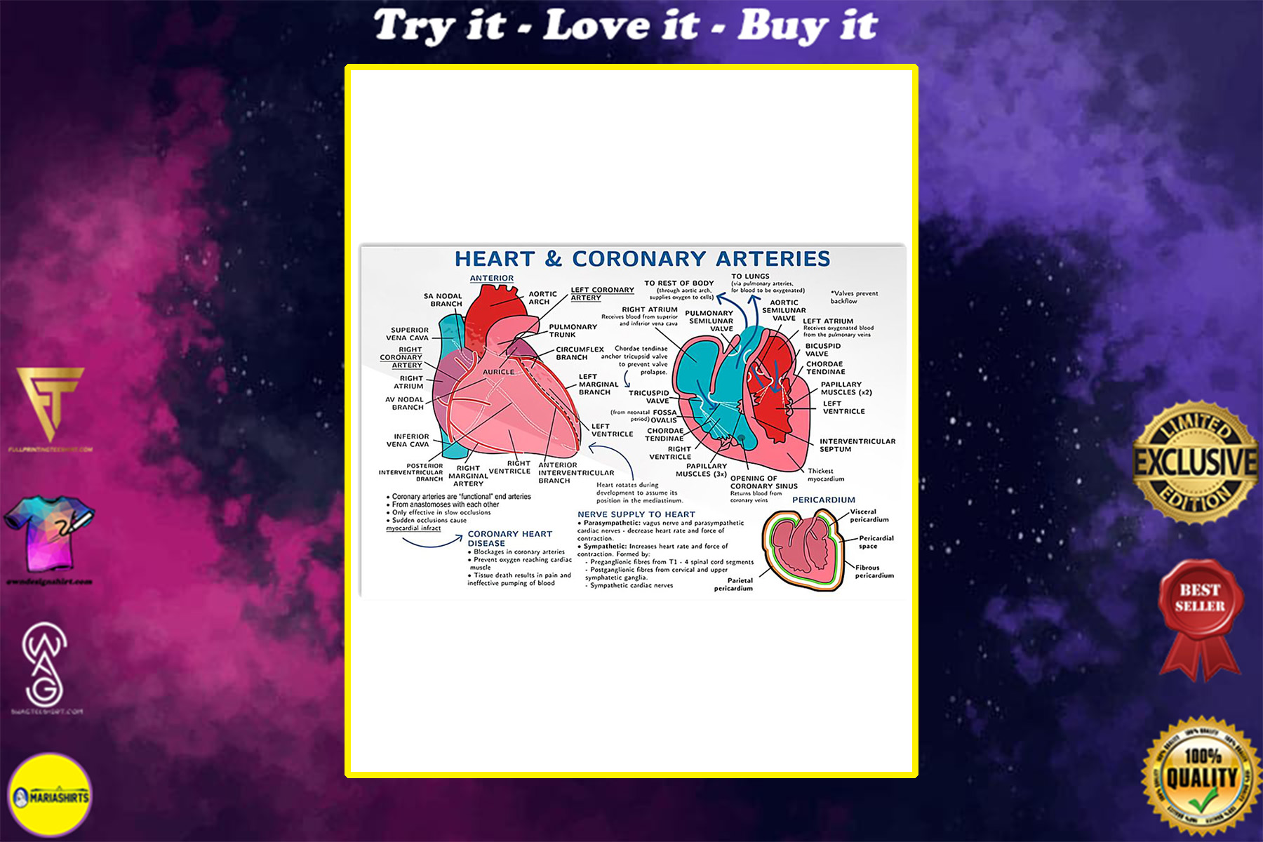 heart and coronary arteries cardiologist poster