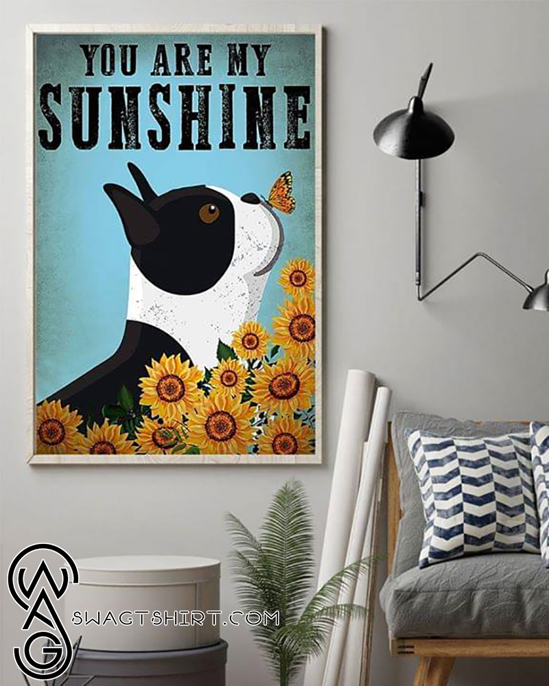 Boston terrier puppy with butterfly you are my sunshine poster
