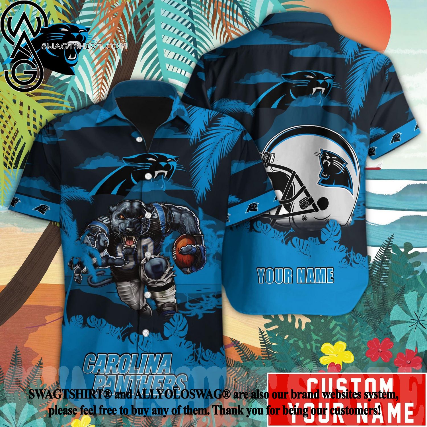 Carolina Panthers / Grateful Dead Custom Printed T-Shirt